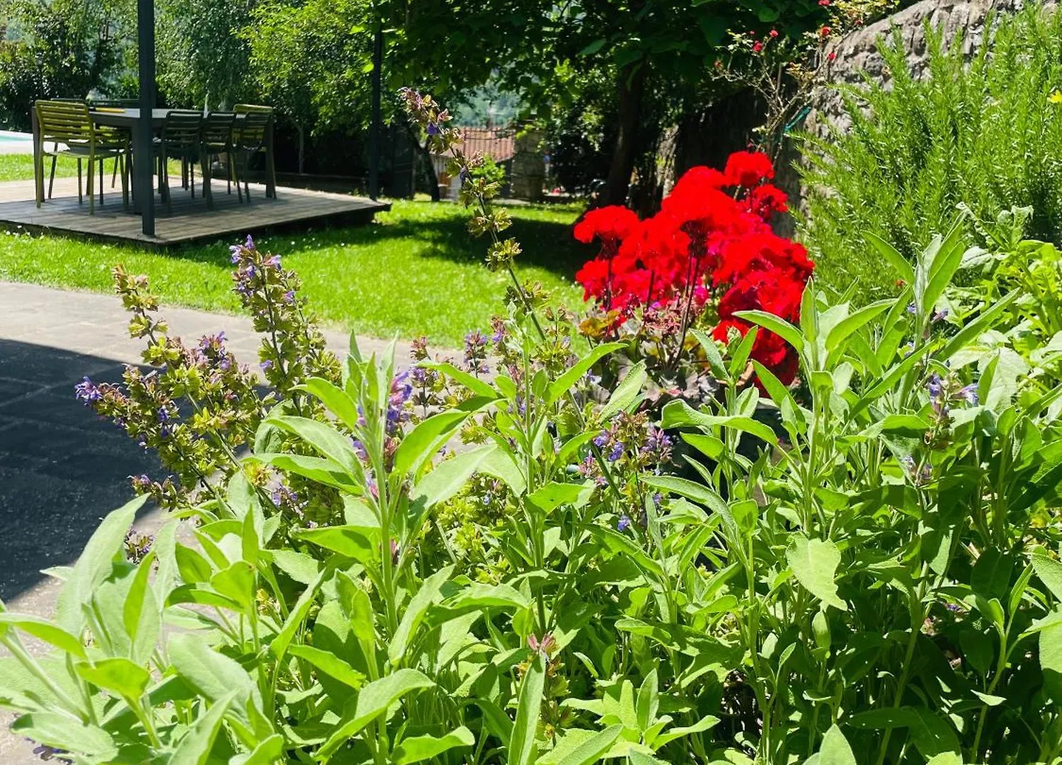 “Da Paolino” Βίλα Borgo alla Collina